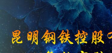 昆鋼集團王素琳簡歷，馬德、陳清泉、王存璘、蘇玲翠、王云萍、錢永祥、孫小躍、官德海、高冰、杜陸軍、趙永平領(lǐng)導(dǎo)班子